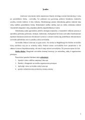 Savivaldos sistema Lietuvoje 3 puslapis