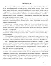 Simonas Daukantas 6 puslapis