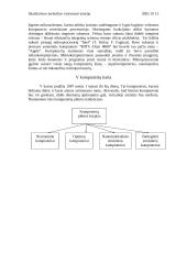 Skaičiavimo technikos vystymosi istorija 8 puslapis