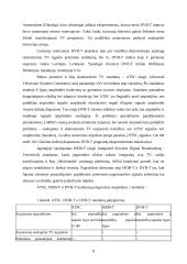 Skaitmeninė televizija 8 puslapis