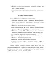 Skaitmeninis parašas 12 puslapis