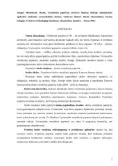 Skolos vertybiniai popieriai Lietuvos finansų rinkoje 2 puslapis