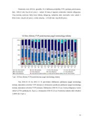 Skolos vertybiniai popieriai Lietuvos finansų rinkoje 15 puslapis