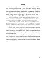 Skolos vertybiniai popieriai Lietuvos finansų rinkoje 17 puslapis