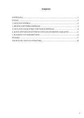 Skolos vertybiniai popieriai Lietuvos finansų rinkoje 3 puslapis