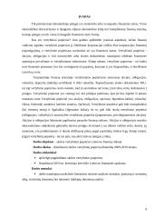 Skolos vertybiniai popieriai Lietuvos finansų rinkoje 4 puslapis