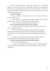 Skolos vertybiniai popieriai Lietuvos finansų rinkoje 10 puslapis