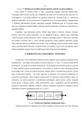 Smulkių parduotuvių logistika 11 puslapis