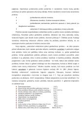 Smulkių parduotuvių logistika 17 puslapis