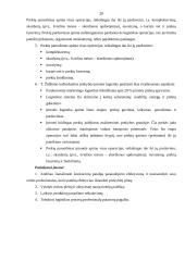 Smulkių parduotuvių logistika 20 puslapis