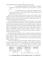 Smulkių parduotuvių logistika 6 puslapis