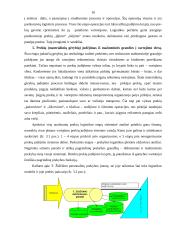 Smulkių parduotuvių logistika 10 puslapis