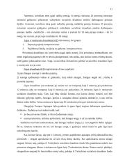 Socialinė politika Lietuvoje 11 puslapis