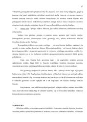 Socialinė politika Lietuvoje 17 puslapis