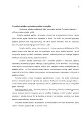Socialinė politika Lietuvoje 4 puslapis