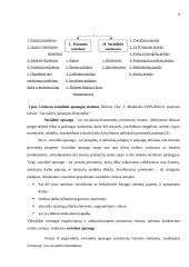 Socialinė politika Lietuvoje 8 puslapis