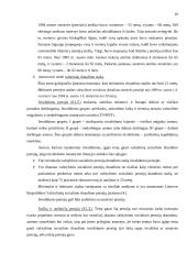 Socialinė politika Lietuvoje 10 puslapis