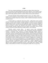 Socialinio pedagogo darbas 2 puslapis