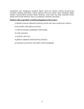 Socialinio pedagogo darbas 4 puslapis