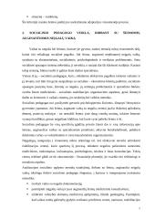 Socialinio pedagogo veikla, dirbant su šeimomis, auginančiomis neįgalų vaiką 3 puslapis