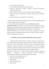 Socialinio pedagogo veikla, dirbant su šeimomis, auginančiomis neįgalų vaiką 4 puslapis