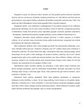 Socializacijos ypatumai paauglystėje 4 puslapis