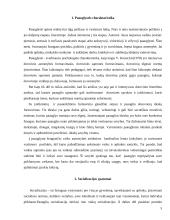 Socializacijos ypatumai paauglystėje 5 puslapis