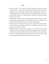 Socializacijos ypatumai paauglystėje 10 puslapis