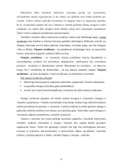 Socializmas, jo kilmė ir periodai 17 puslapis