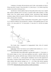 Specializacija. Lyginamasis pranašumas ir masto ekonomija 9 puslapis