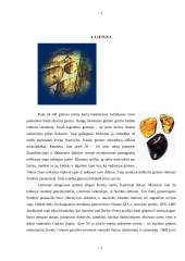 Specifiniai suvenyrai simbolizuojantys tą kraštą 3 puslapis