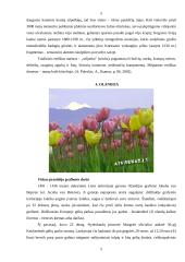 Specifiniai suvenyrai simbolizuojantys tą kraštą 5 puslapis