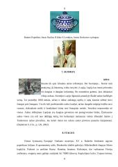 Specifiniai suvenyrai simbolizuojantys tą kraštą 8 puslapis