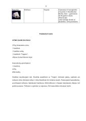 Sūrių gamyba 8 puslapis
