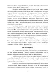 Susisiekimo ūkio valdymo samprata 8 puslapis