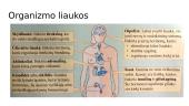 Liaukos išskiria hormonus. Gliukozės reguliavimas kraujyje 9 puslapis