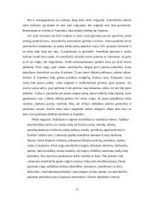 Svečių priėmimas 13 puslapis