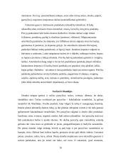 Svečių priėmimas 14 puslapis