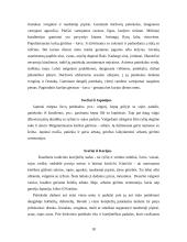 Svečių priėmimas 16 puslapis