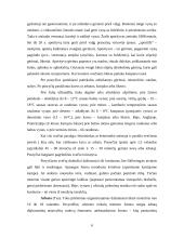 Svečių priėmimas 4 puslapis