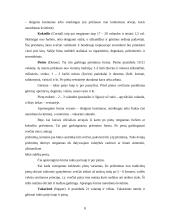 Svečių priėmimas 6 puslapis