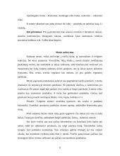 Svečių priėmimas 7 puslapis