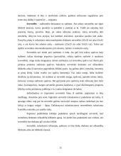 Svečių priėmimas 10 puslapis