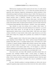 Šalių atsakomybė pagal CMR konvenciją 7 puslapis