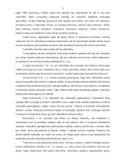 Šalių atsakomybė pagal CMR konvenciją 8 puslapis