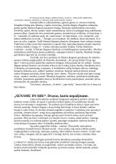 Šatrijos Raganos biografija bei vertybės 5 puslapis