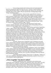 Šatrijos Raganos biografija bei vertybės 6 puslapis