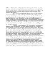 Šatrijos Raganos biografija bei vertybės 7 puslapis