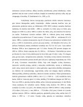 Šeima besikeičiančioje visuomenėje 5 puslapis