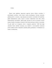 Šeima besikeičiančioje visuomenėje 9 puslapis